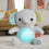 V7H1FDC8DC09C5B565D095F57BC17DB7204R6468873P6