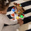 V5H61BD138BF2C7D63D4B9BB0FBD3450149R7218166P4