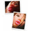 V4HBAE3952A635A9F883E44227EF931F672R5080890P4