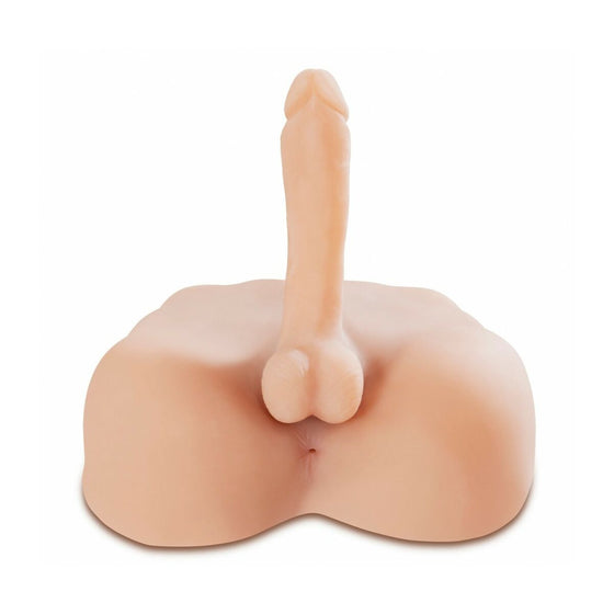 V4HB2833F9C005C809C0E5EE97310E6B13ER5116142P3