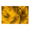 V15HA74828D0C90CB14440E83AEFFE7226EBR3760865P5