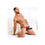 V4H52B074A395F4412F6DEBA1AB7EC349B9R4635264P2