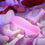 V5H612D696DA2EF7A223F236CA5339B8A7ER4980906P7