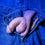 V4HBEEECC7BC3606041AC1574EA87963867R5286591P9