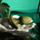 V4HB96AD00A8F42DEB4E7582C53F6AA0249R4901176P7