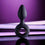 V4H427613A74E7C60E43FEA2A60BD86DBAER4901500P8