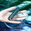 V4HABDA55A6417BFE9ADB66D1D7D2300015R5119999P9