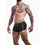 V4H2C80991DA18117794D82BB42F465AA3CR4665437P1