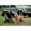V4HD7560EF22EC8EB4054FE5476A67A39E4R4895852P4
