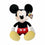 V5H93A2429C9CDF31A39A3CF41CF9DDF644R6779245P5