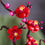 V3HBFB04C90972BD207ABA504F965E548FAR4983356P3