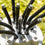 V9HEA42D708D8DC4EF4FA9A1703C5782454R5278568P4