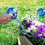 V13H1E2A4092EFADC396AC89E7C99782B80ER5276069P3