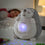 V13H629CFE7171CC500D6135F504140B071AR5247656P1
